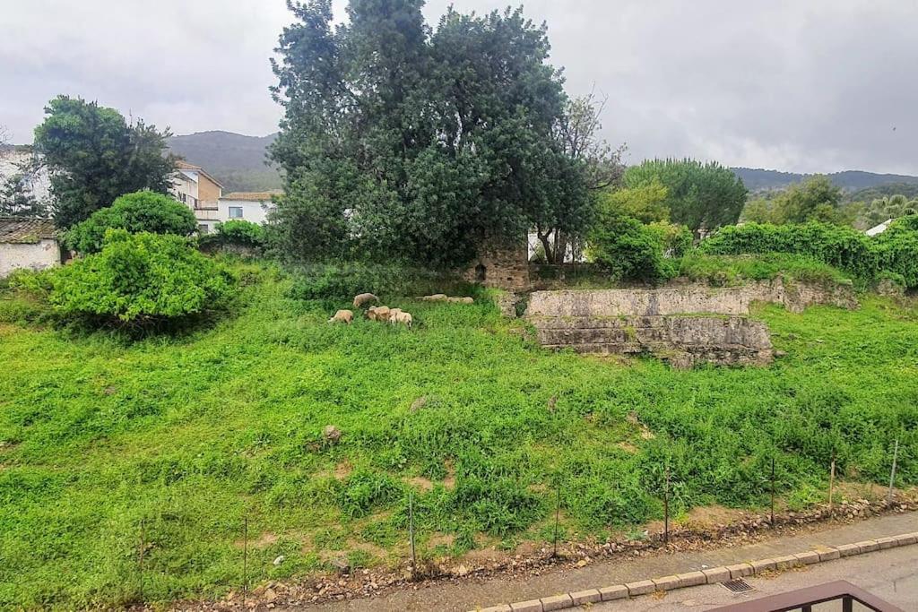 La Terracita Del Bosque Lejlighed Eksteriør billede